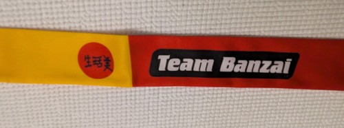 Scarce buckaroo banzai team - banzai,