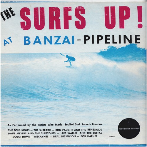 Surfs banzai pipeline - up,